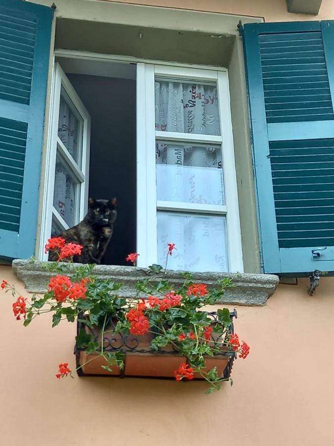 B&B Isoladelsole Perledo Eksteriør bilde